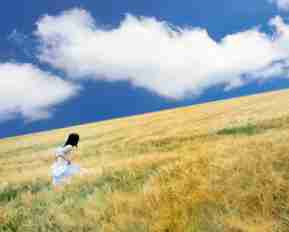 高﻿级﻿内​容​分​发‌工‌具‍